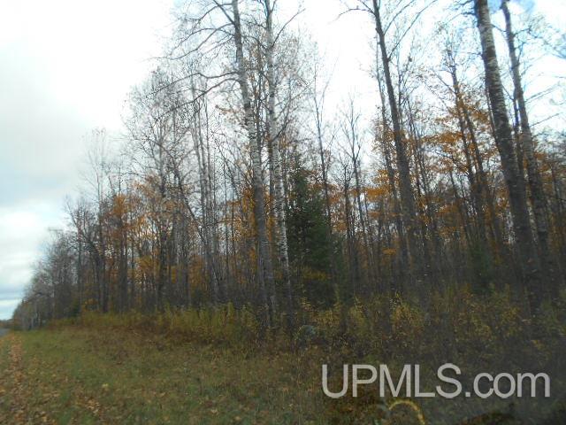 Tbd Dream Lake Road Florence, WI 54121 - Photo 10 of 10
