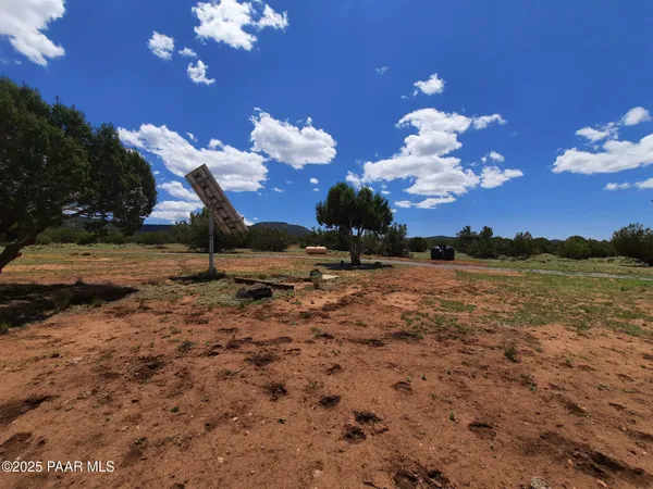 a view of a yard with a tree