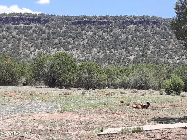 $199,000 | 47683 North Deadwood Drive, Seligman, AZ 86337