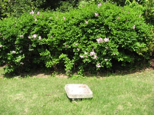 142 Westlook Circle Oak Ridge, TN 37830 - Photo 29 of 30 Additional Photo