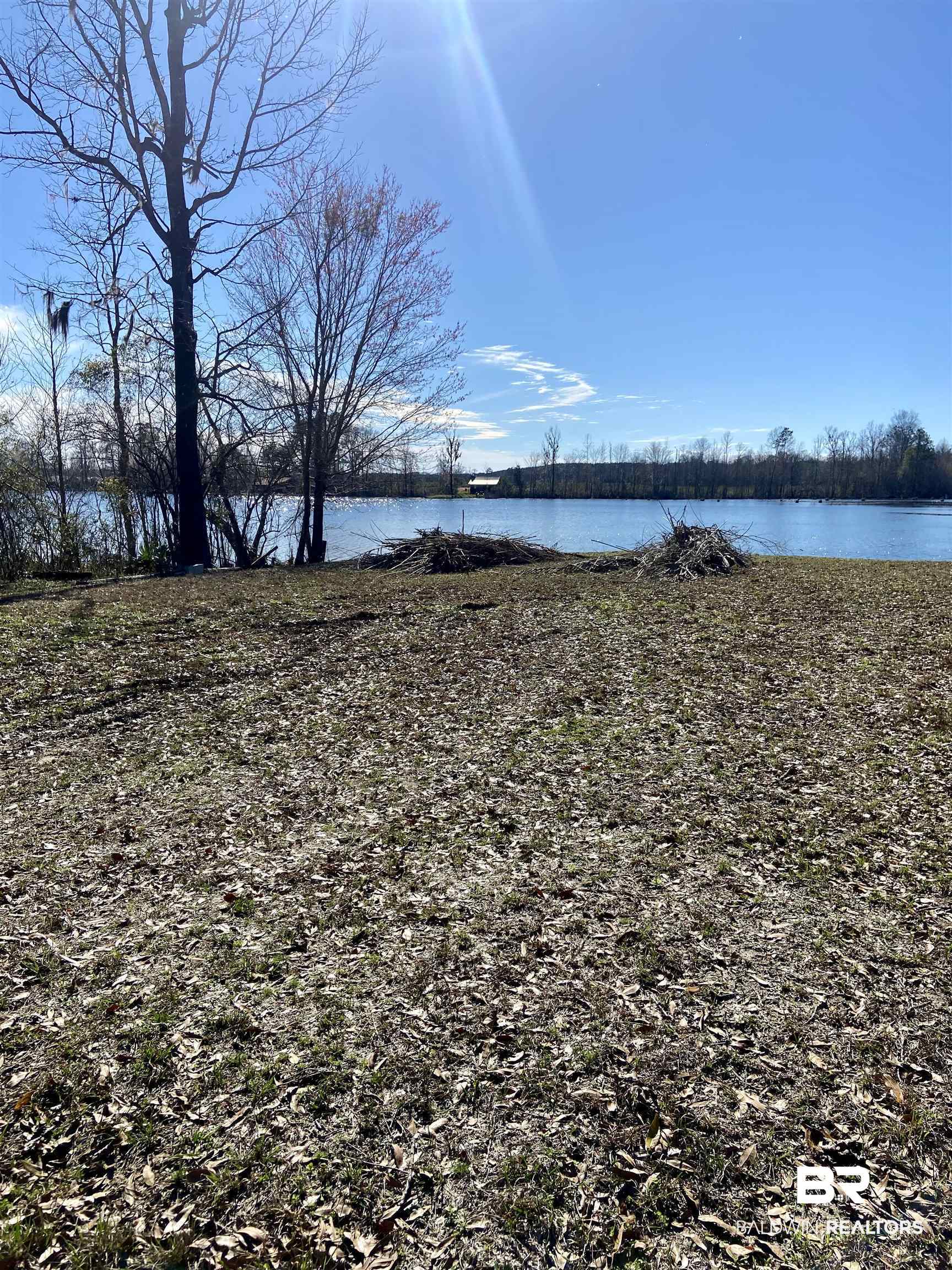 0 Bass Drive Evergreen, AL 36401 - Photo 2 of 3 Water view