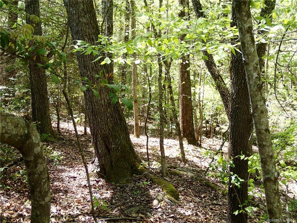 0 Ashe Bridge Road, Unit 11 Marion, NC 28752 - Photo 4 of 10 Gallery Image 4