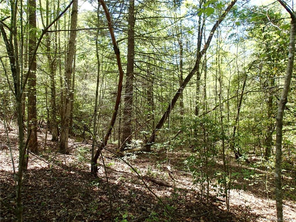0 Ashe Bridge Road, Unit 11 Marion, NC 28752 - Photo 7 of 10 Gallery Image 7