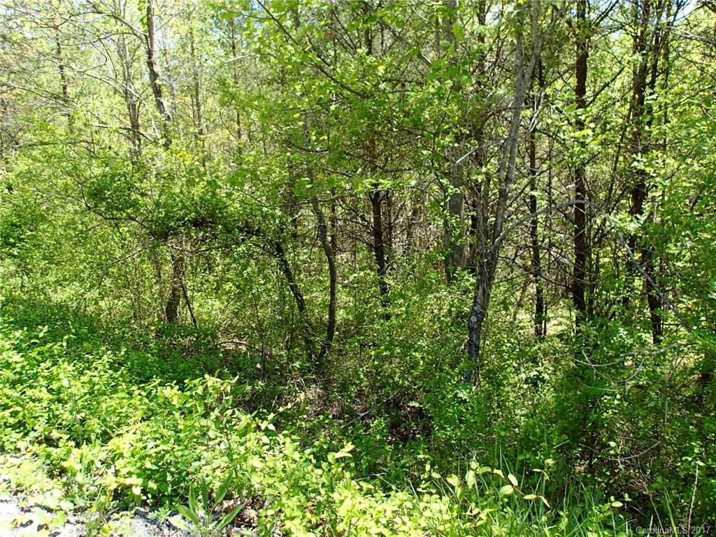 0 Ashe Bridge Road, Unit 11 Marion, NC 28752 - Photo 8 of 10 Gallery Image 8