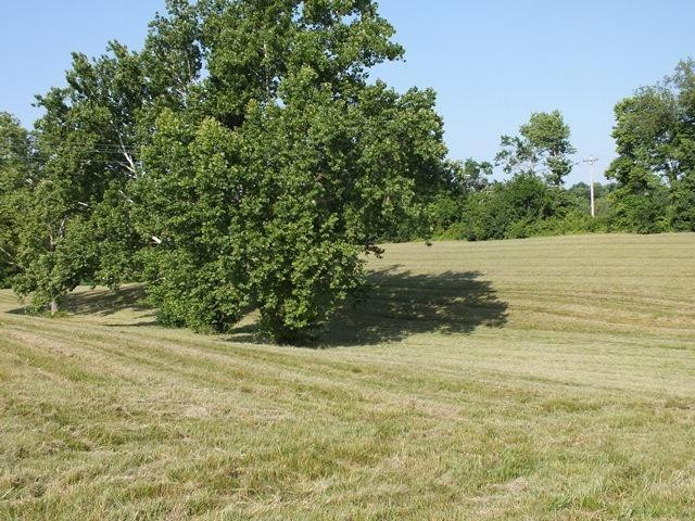 2338 Union Mill Road Nicholasville, KY 40356 - Photo 3 of 3 Photo 3
