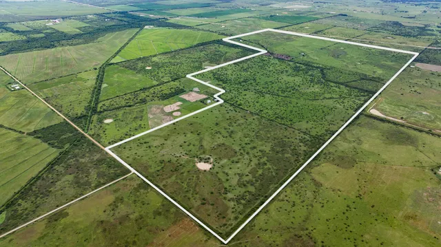 $8,228,125 | Tbd Rice Road, Cat Spring, TX 78933