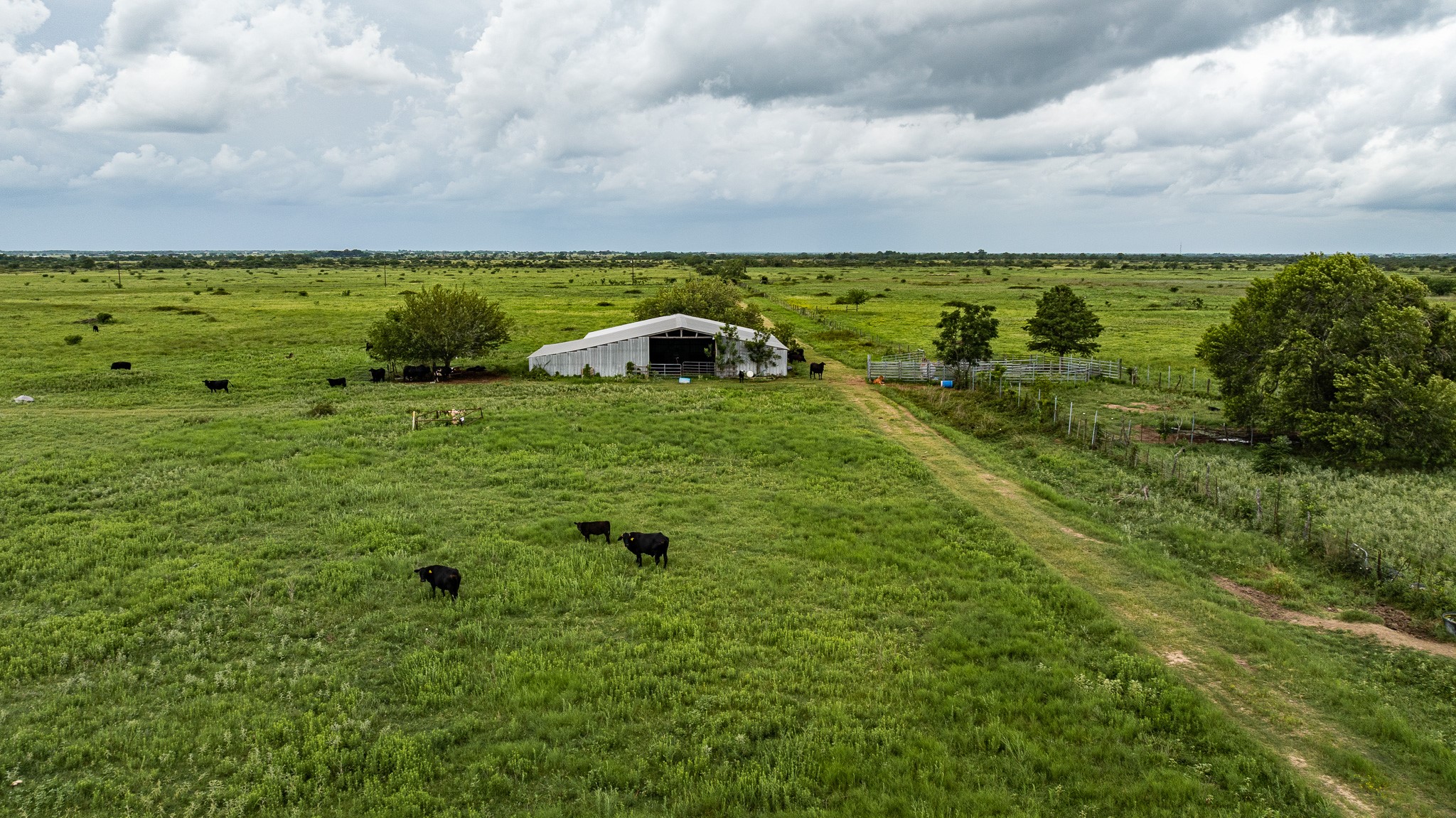 Tbd Rice Road Cat Spring, TX 78933 - Photo 11 of 39