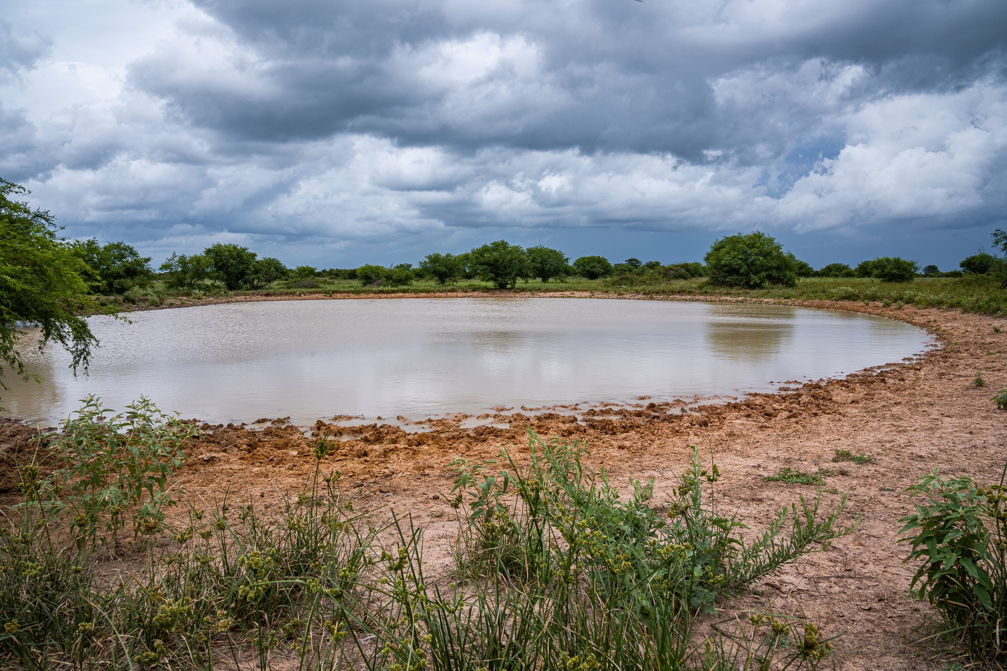 Tbd Rice Road Cat Spring, TX 78933 - Photo 13 of 39