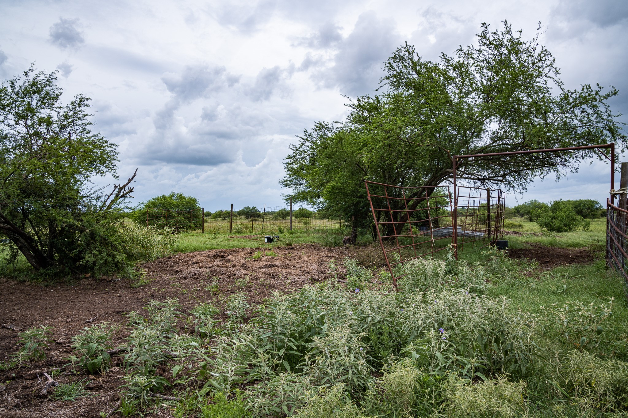 Tbd Rice Road Cat Spring, TX 78933 - Photo 15 of 39