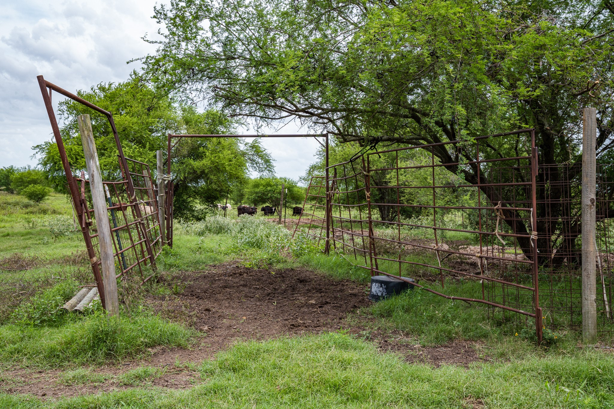 Tbd Rice Road Cat Spring, TX 78933 - Photo 16 of 39