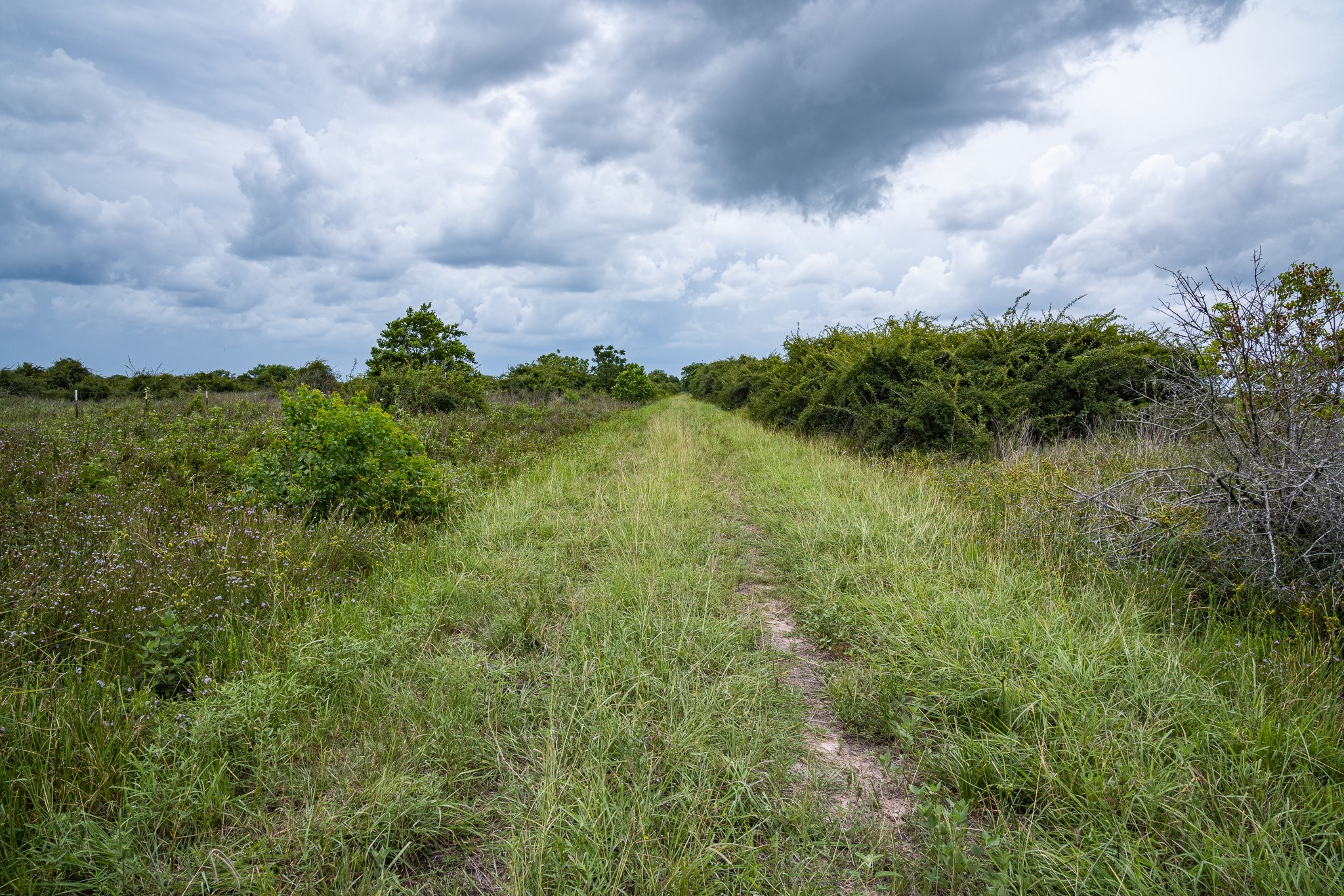 Tbd Rice Road Cat Spring, TX 78933 - Photo 18 of 39