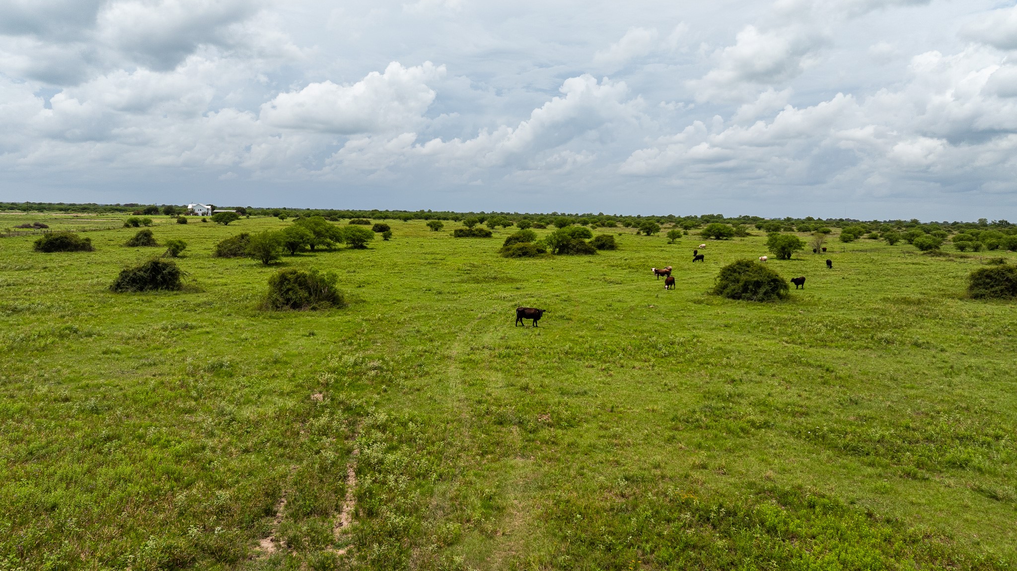 Tbd Rice Road Cat Spring, TX 78933 - Photo 28 of 39