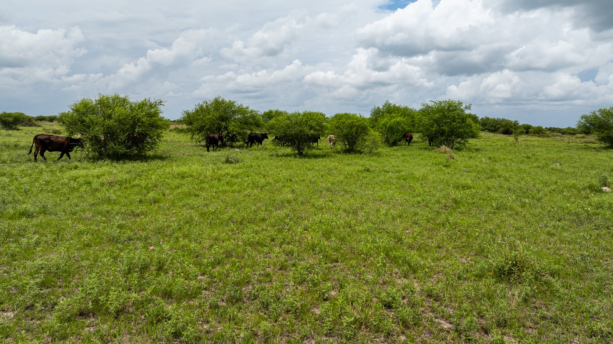 Tbd Rice Road Cat Spring, TX 78933 - Photo 29 of 39
