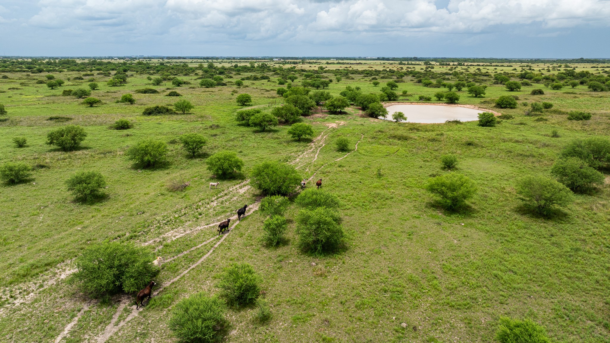 Tbd Rice Road Cat Spring, TX 78933 - Photo 30 of 39