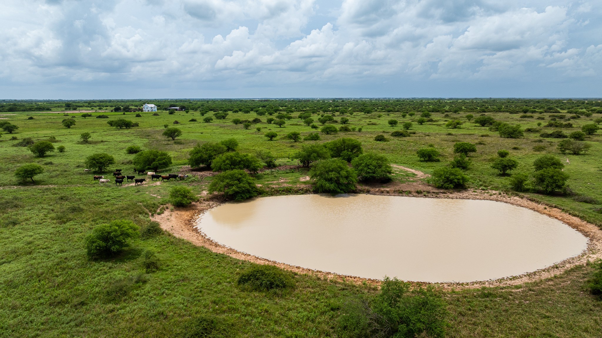 Tbd Rice Road Cat Spring, TX 78933 - Photo 31 of 39