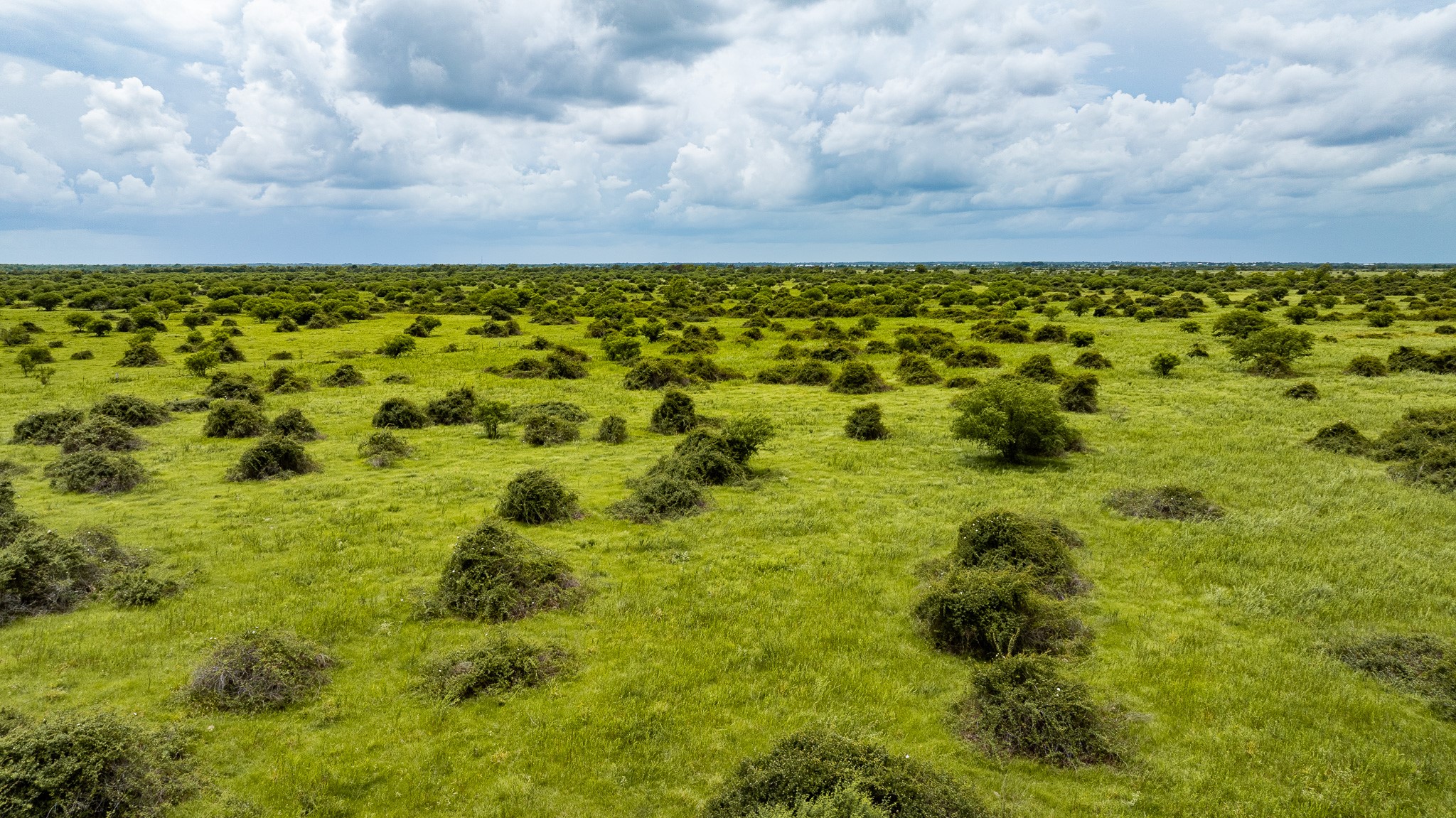 Tbd Rice Road Cat Spring, TX 78933 - Photo 32 of 39