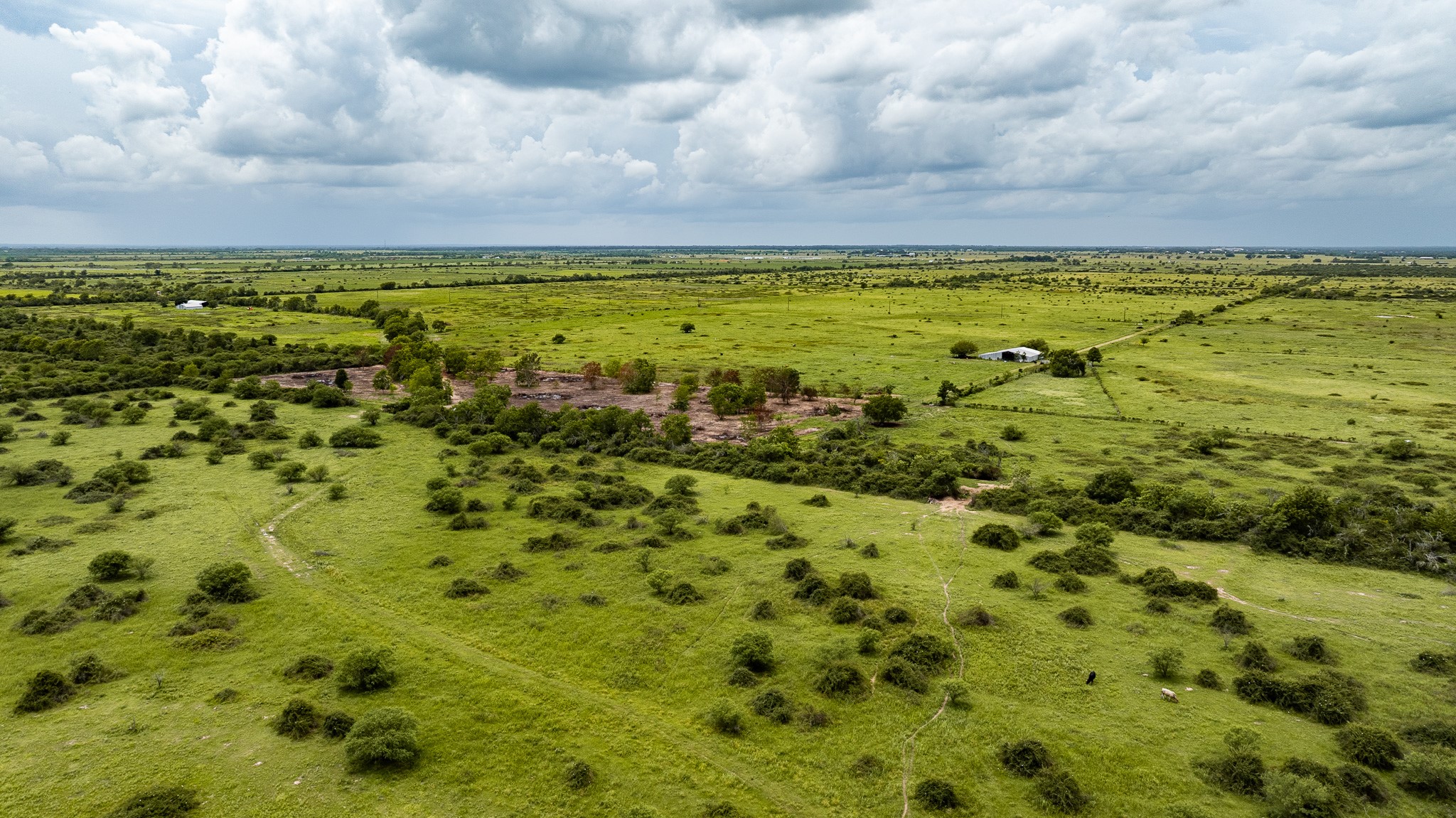Tbd Rice Road Cat Spring, TX 78933 - Photo 33 of 39