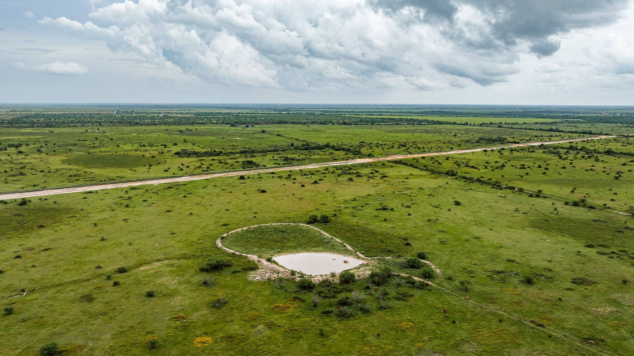 Tbd Rice Road Cat Spring, TX 78933 - Photo 35 of 39