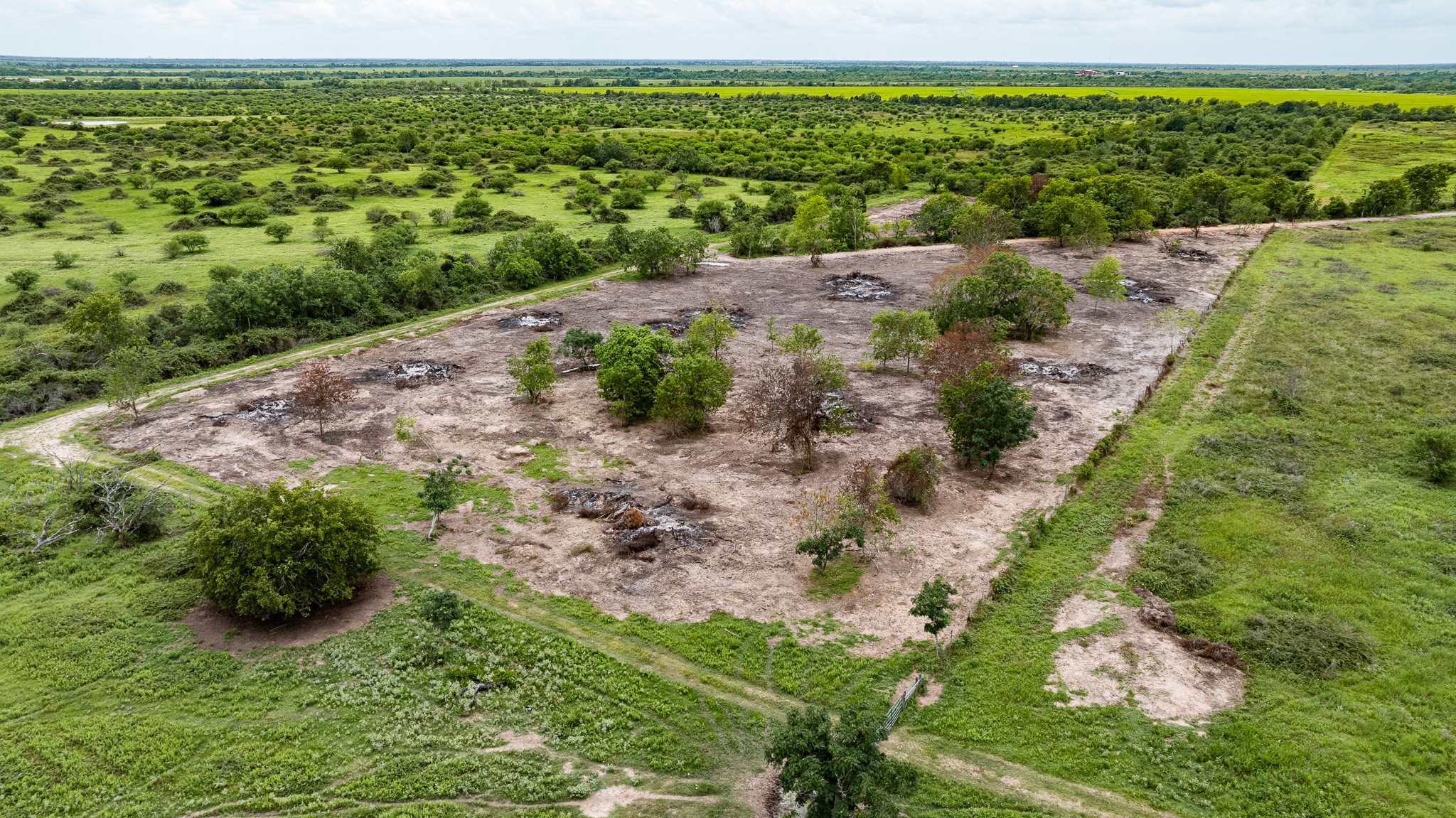 Tbd Rice Road Cat Spring, TX 78933 - Photo 38 of 39