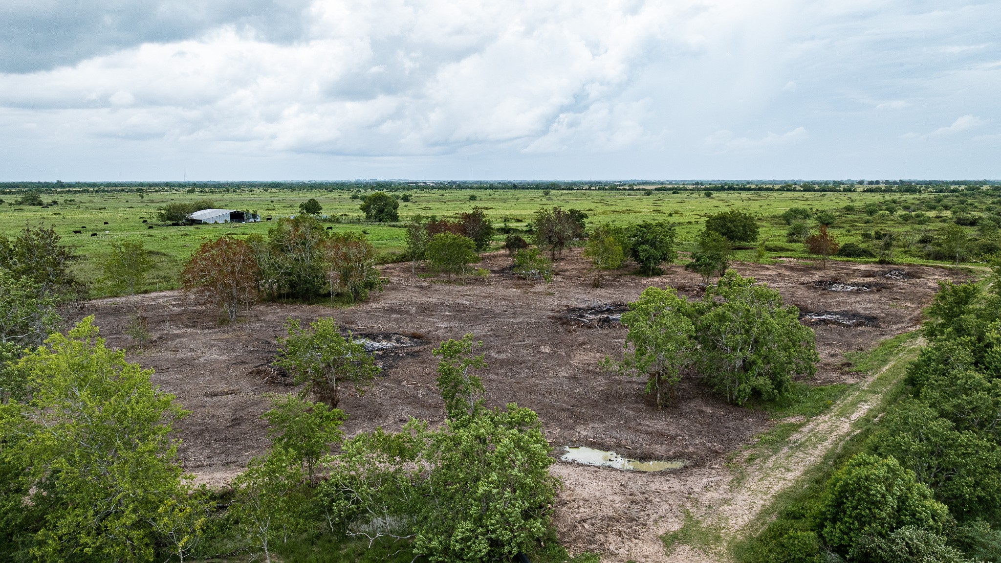 Tbd Rice Road Cat Spring, TX 78933 - Photo 39 of 39