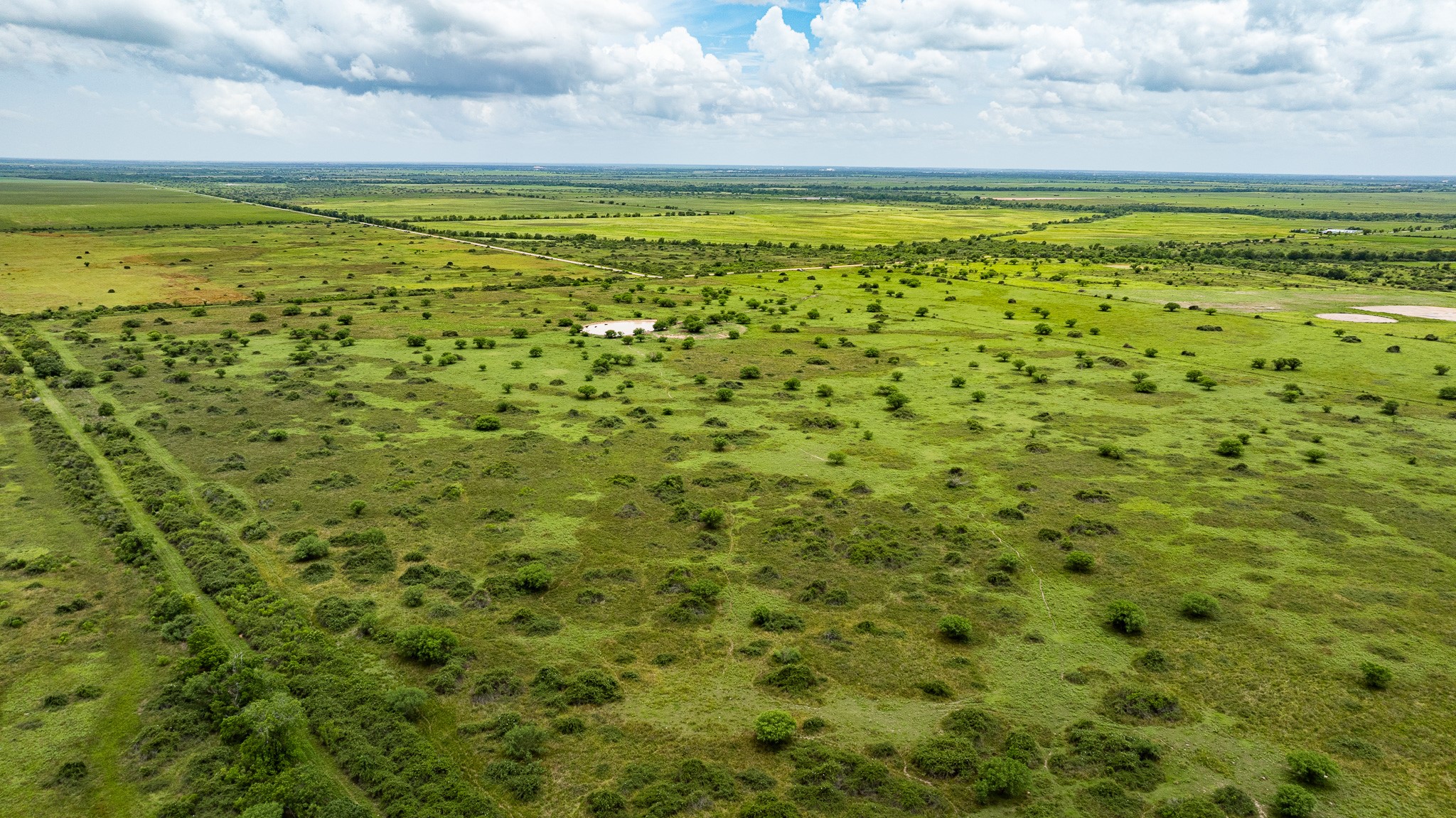 Tbd Rice Road Cat Spring, TX 78933 - Photo 4 of 39