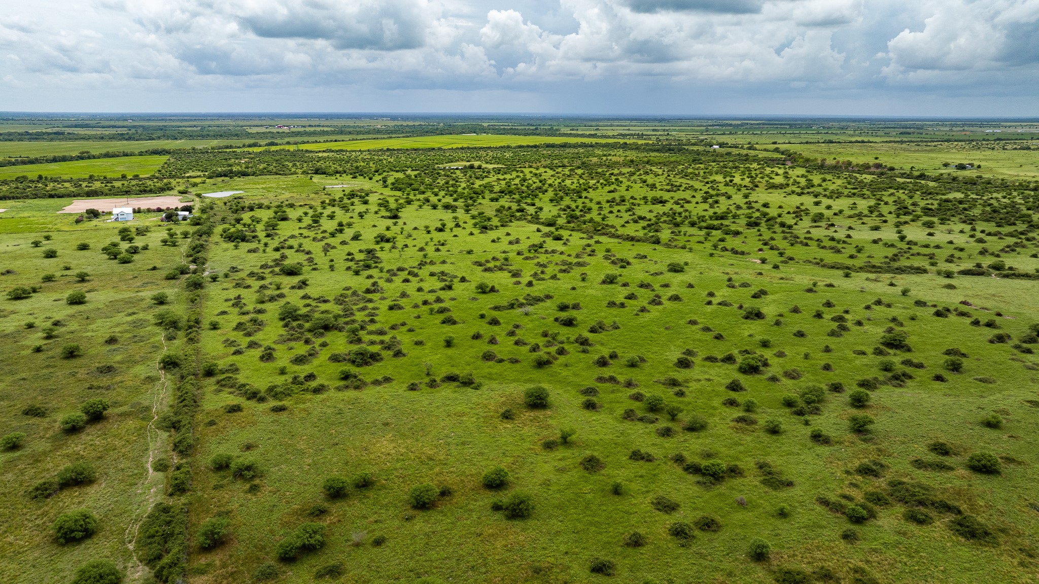 Tbd Rice Road Cat Spring, TX 78933 - Photo 5 of 39