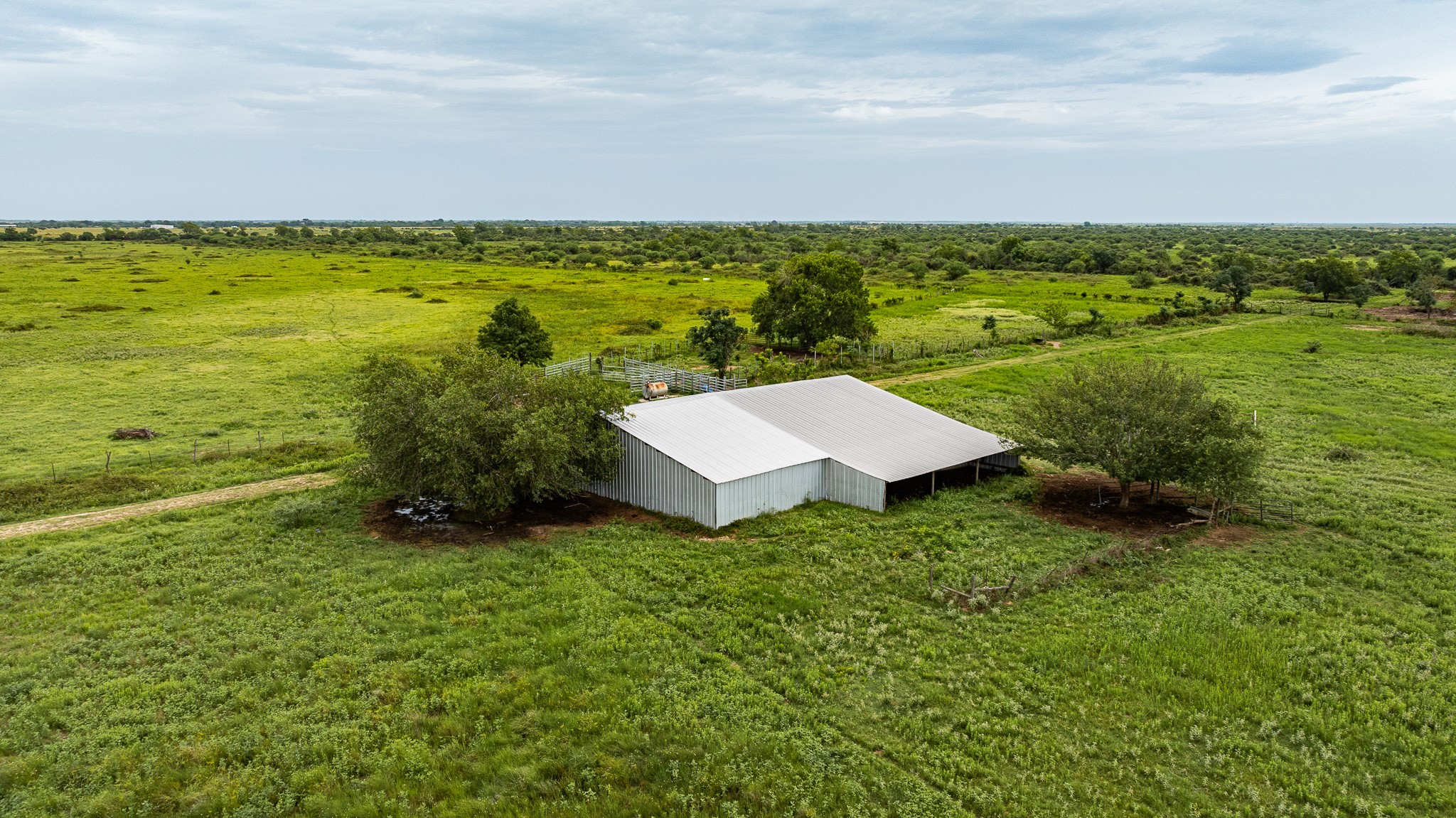 Tbd Rice Road Cat Spring, TX 78933 - Photo 10 of 39