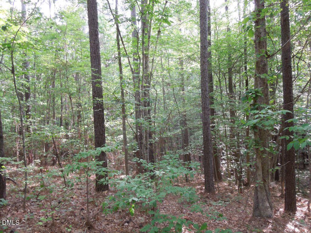 0 Glebe Road Henderson, NC 27537 - Photo 10 of 34 DSCN0482