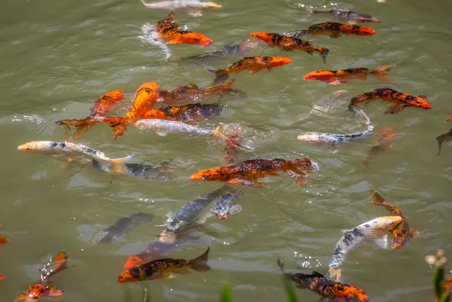 $1,600,000 | 397 Fern Hill, Dorset, VT 05251