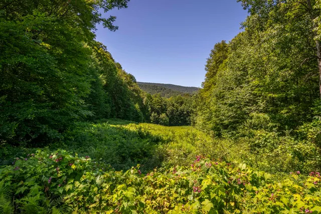 $1,600,000 | 397 Fern Hill, Dorset, VT 05251