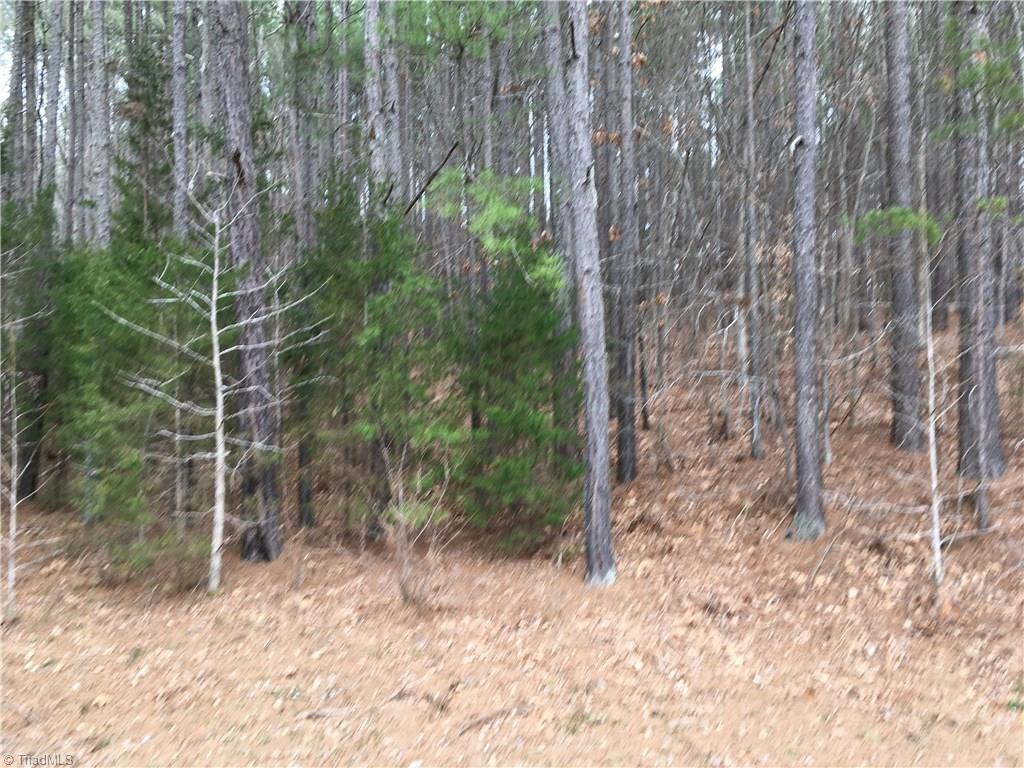 0 Salem Church Road Denton, NC 27239 - Photo 3 of 3 Gallery Image 3