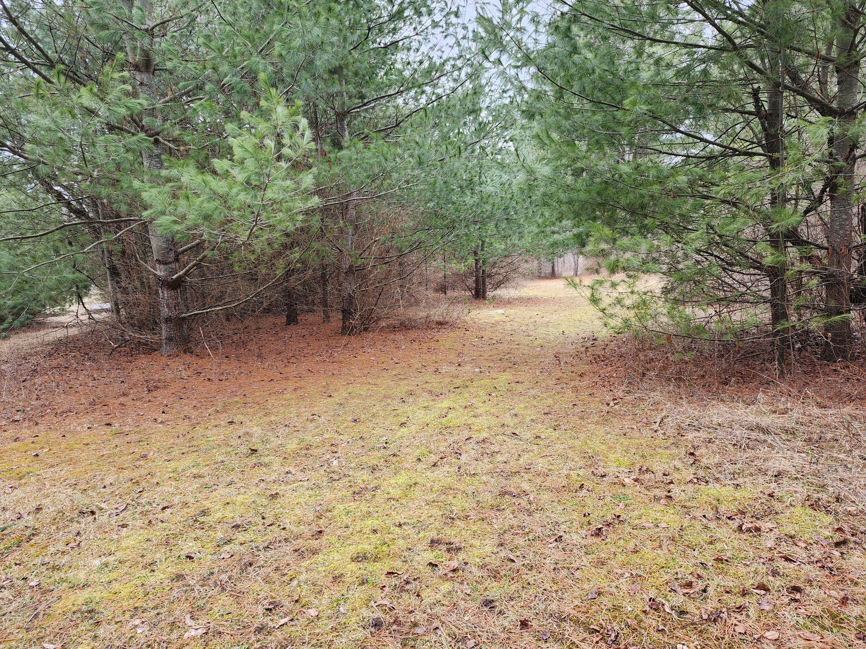 10435 Mason Road Onaway, MI 49765 - Photo 21 of 38 Gallery Image 21