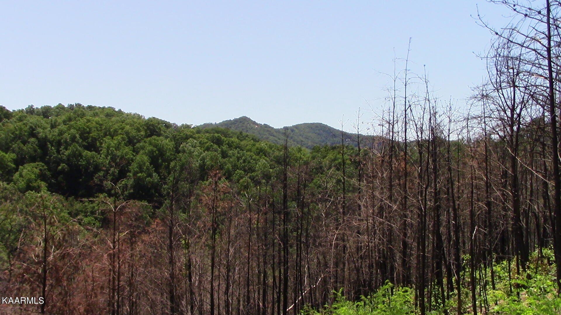 2261 Lone Ridge Drive Sevierville, TN 37862 - Photo 11 of 16 IMG_0665