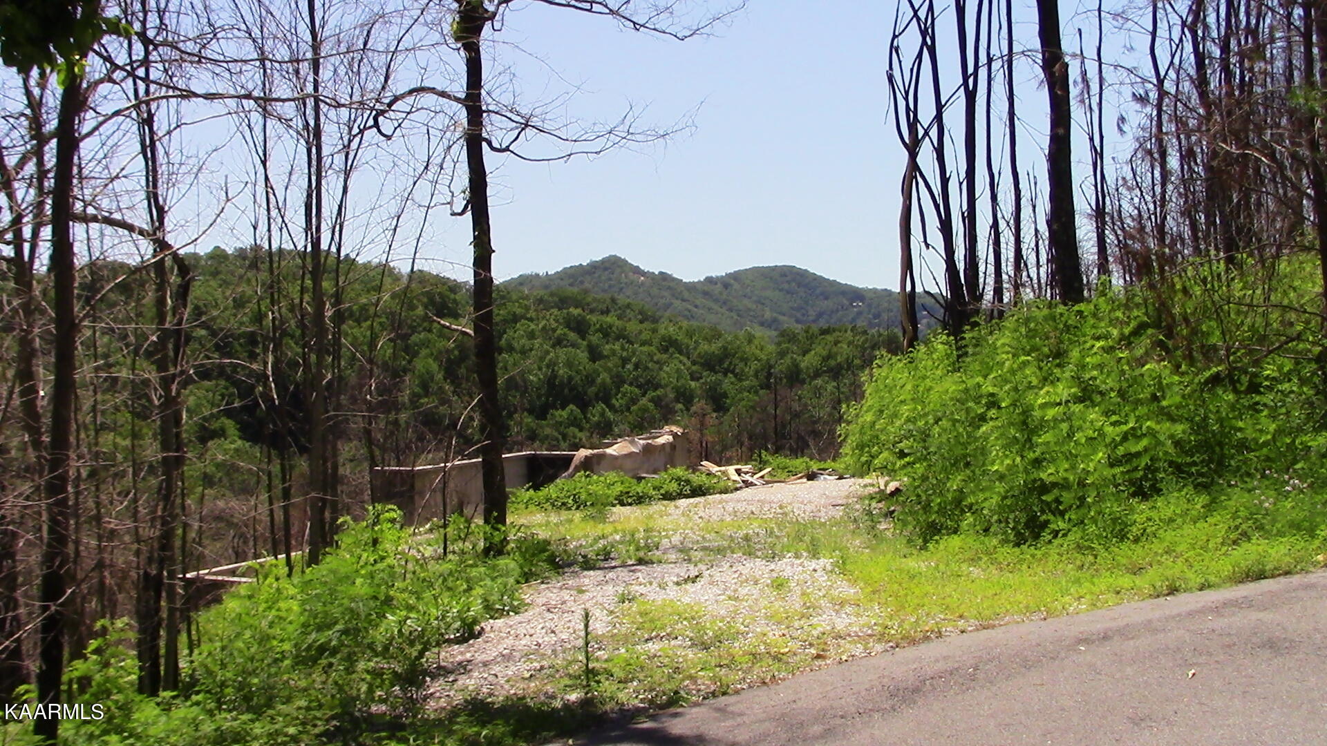 2261 Lone Ridge Drive Sevierville, TN 37862 - Photo 2 of 16 IMG_0658