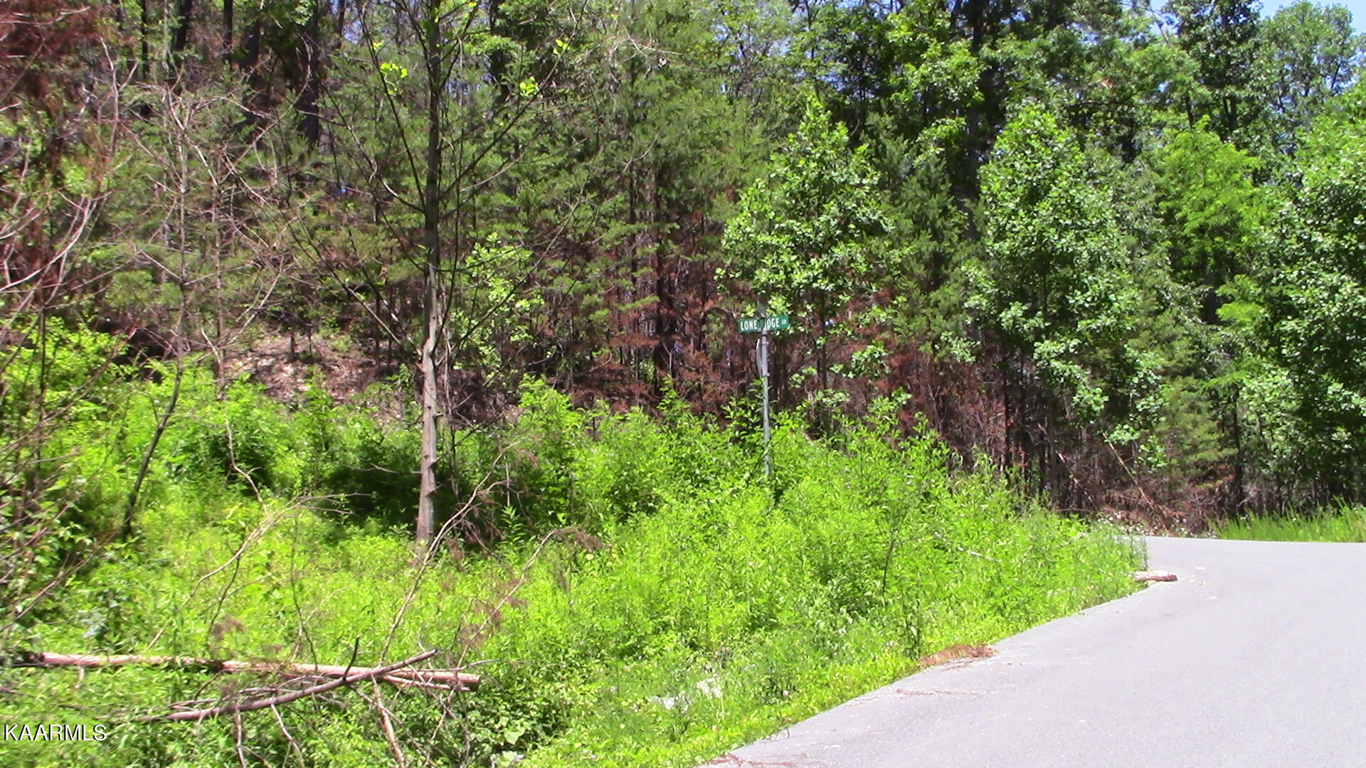 2261 Lone Ridge Drive Sevierville, TN 37862 - Photo 3 of 16 IMG_0656