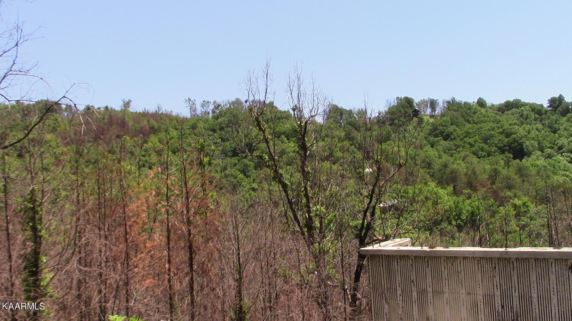 2261 Lone Ridge Drive Sevierville, TN 37862 - Photo 7 of 16 IMG_0661