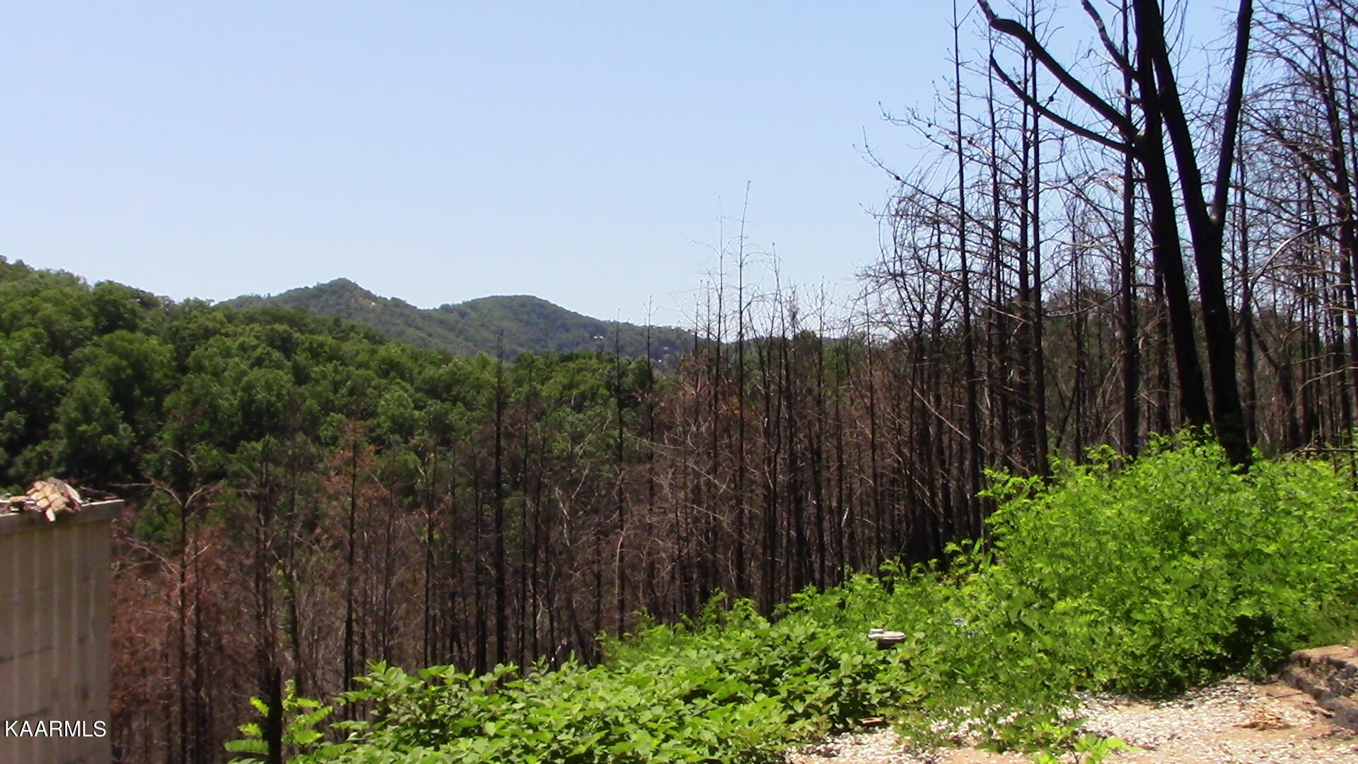 2261 Lone Ridge Drive Sevierville, TN 37862 - Photo 10 of 16 IMG_0664