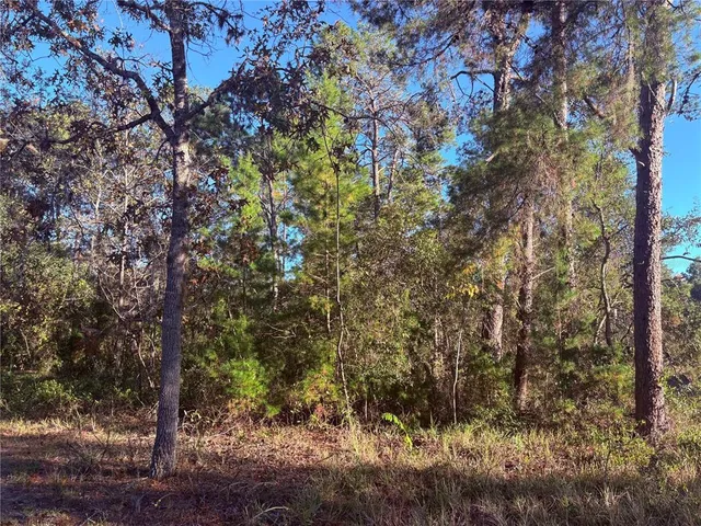 $31,000 | 10 Dracaena Court, Homosassa, FL 34446