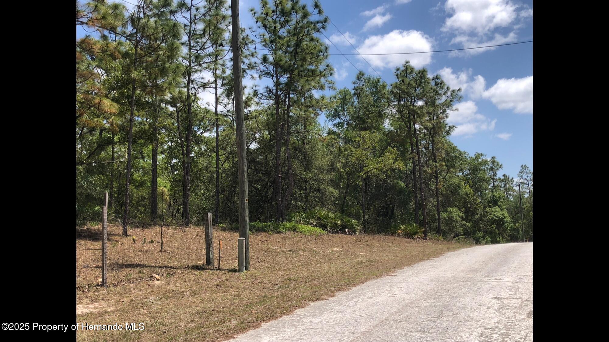 Lot 13 Colonel Avenue Webster, FL 33597 - Photo 3 of 8