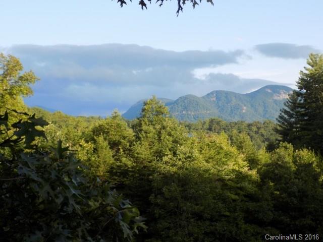 1580 Grassy Knob Road Rutherfordton, NC 28139 - Photo 2 of 21