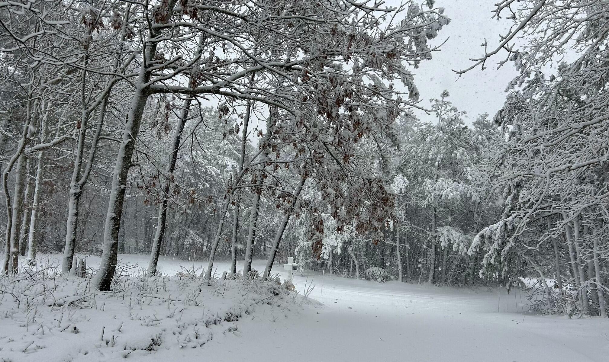 45 John Myrick Circle Brewster, MA 02631 - Photo 7 of 32 a view of mountain covered with snow in outdoor
