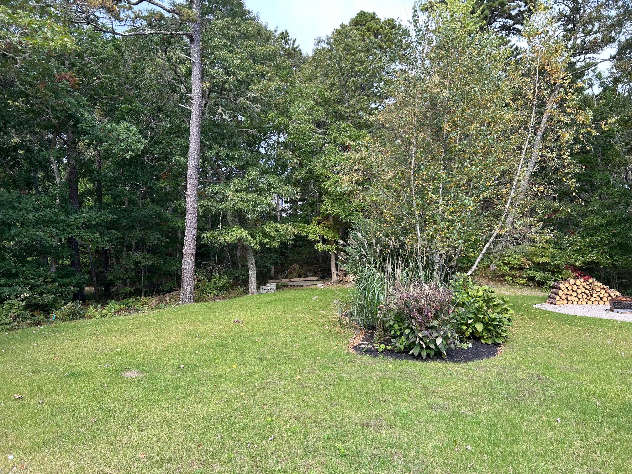 45 John Myrick Circle Brewster, MA 02631 - Photo 9 of 32 a backyard of a house with lots of green space