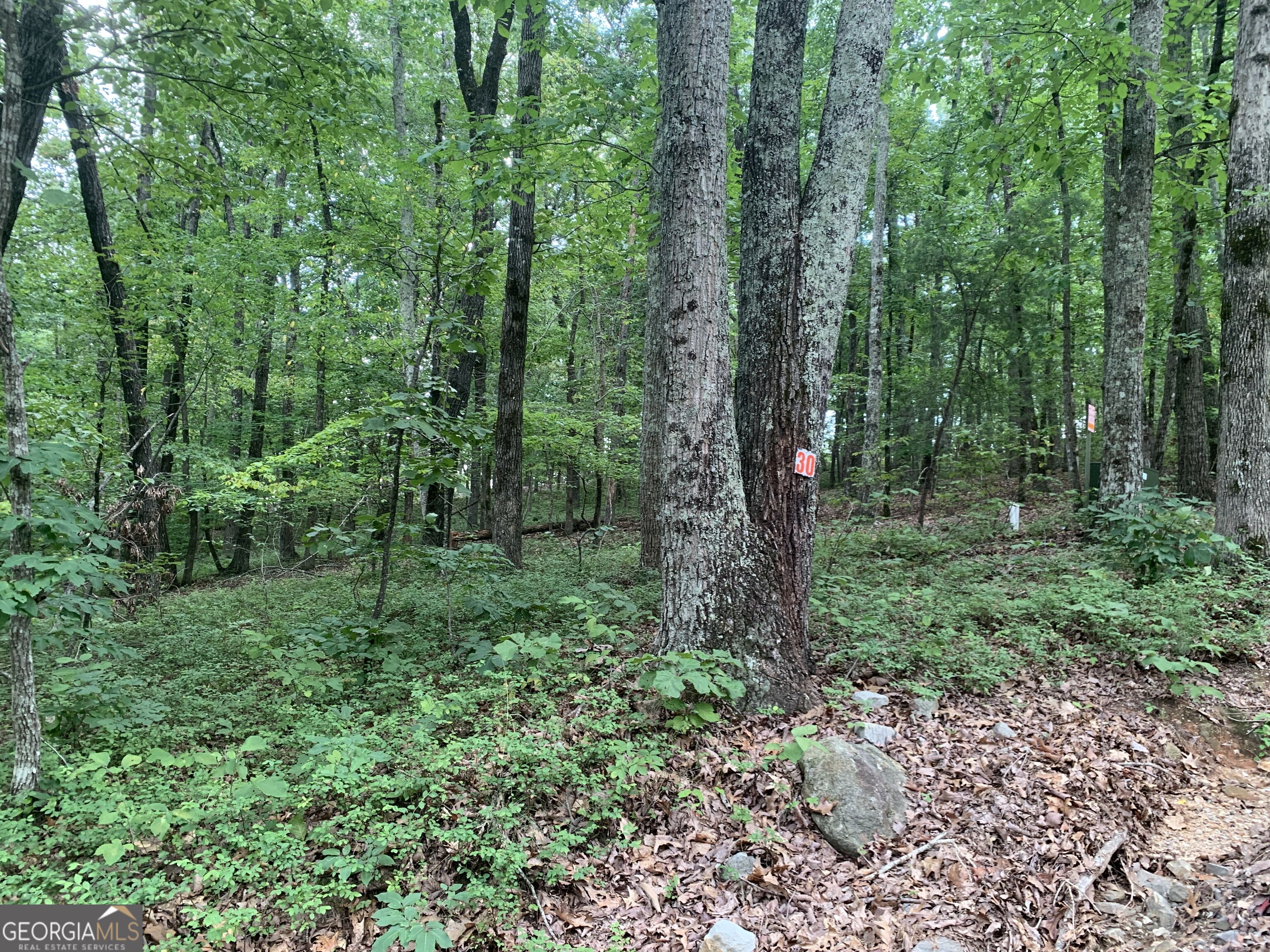 0 Grant Smith Summit Ridge Etc Toccoa, GA 30577 - Photo 17 of 28 Gallery Image 17