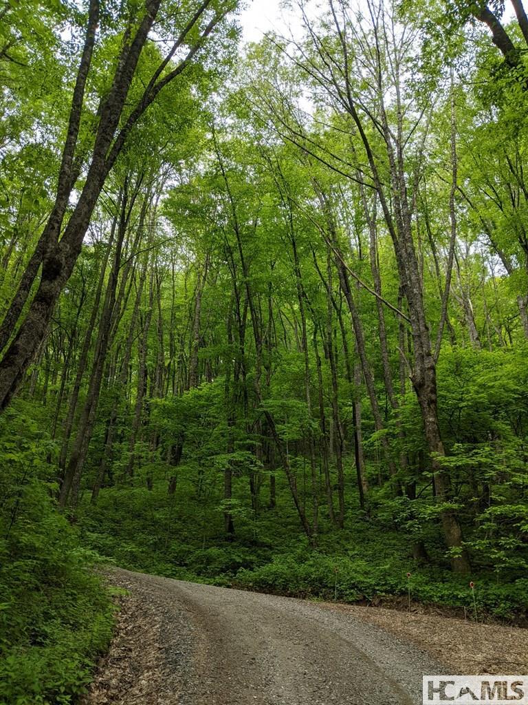 0 Buck Knob Road Cullowhee, NC 28723 - Photo 7 of 9 Gallery Image 7