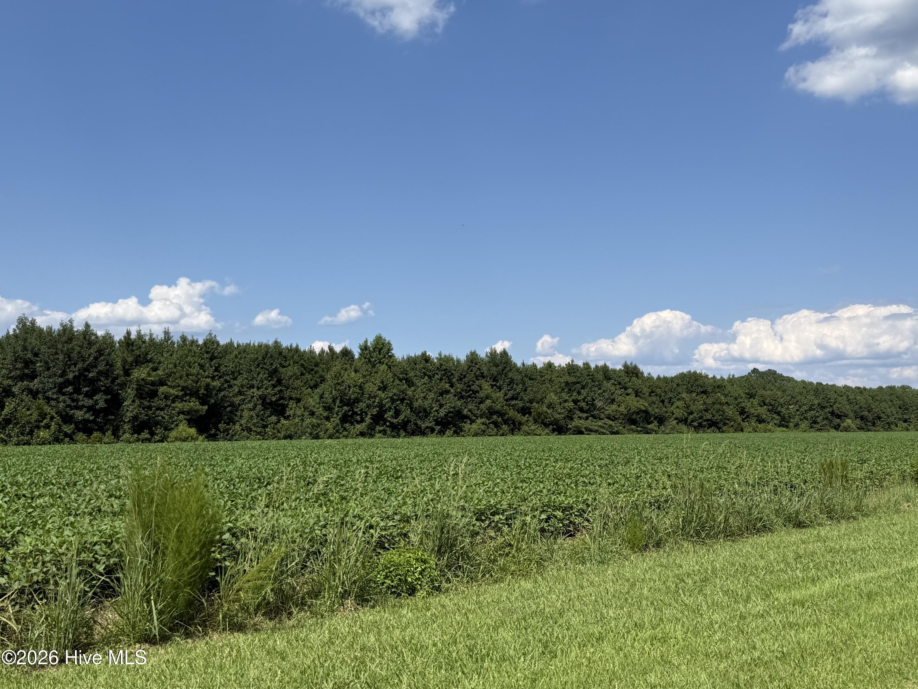0 Bay City Road Aurora, NC 27806 - Photo 8 of 17 Gallery Image 8