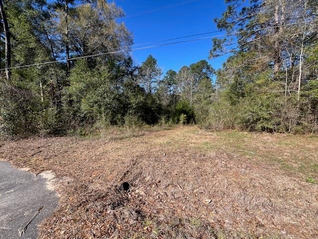 26177 Brogden Road Andalusia, AL 36421 - Photo 3 of 15 Gallery Image 3