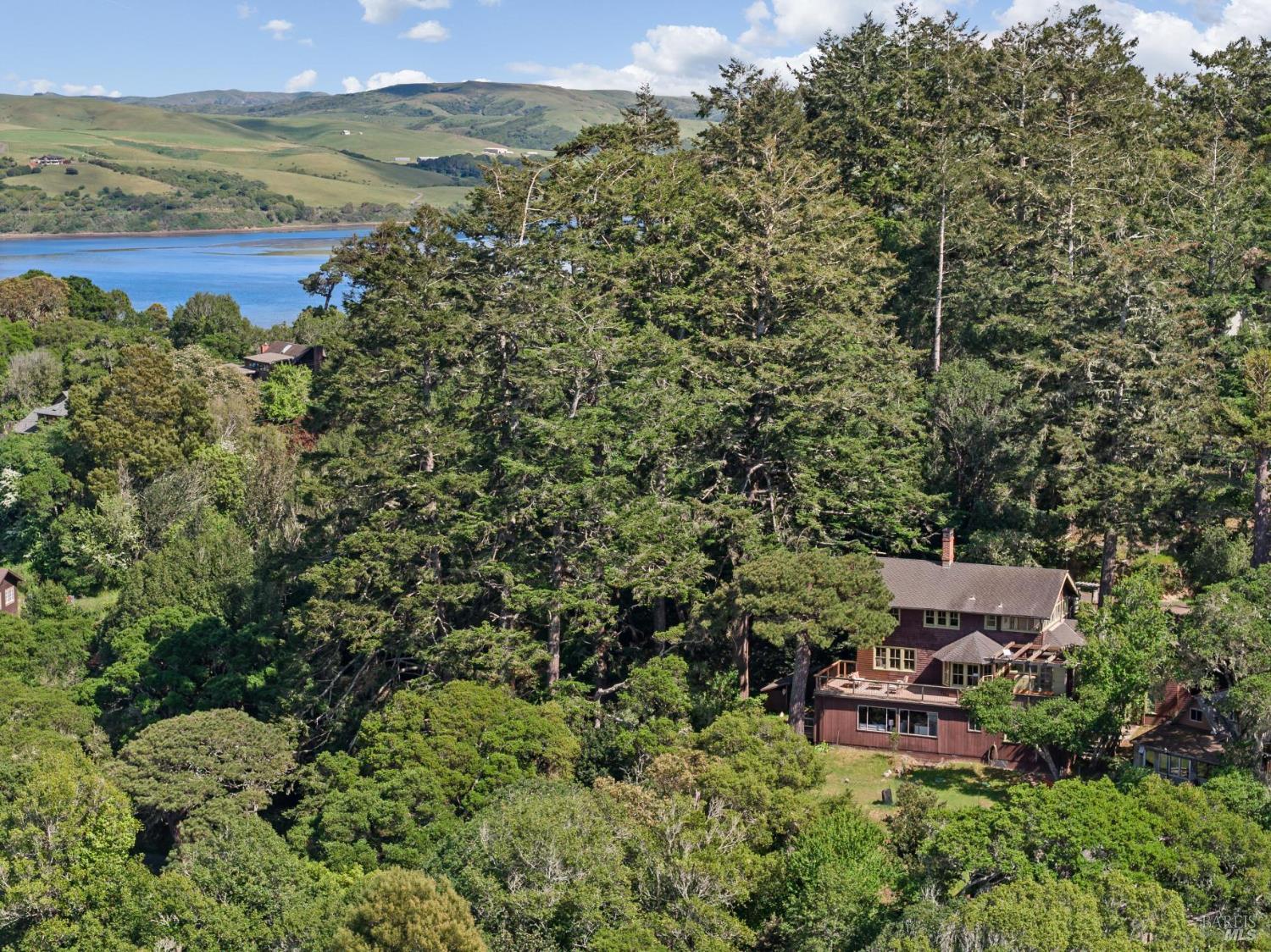 50 Dundee Way Inverness, CA 94937 - Photo 76 of 78