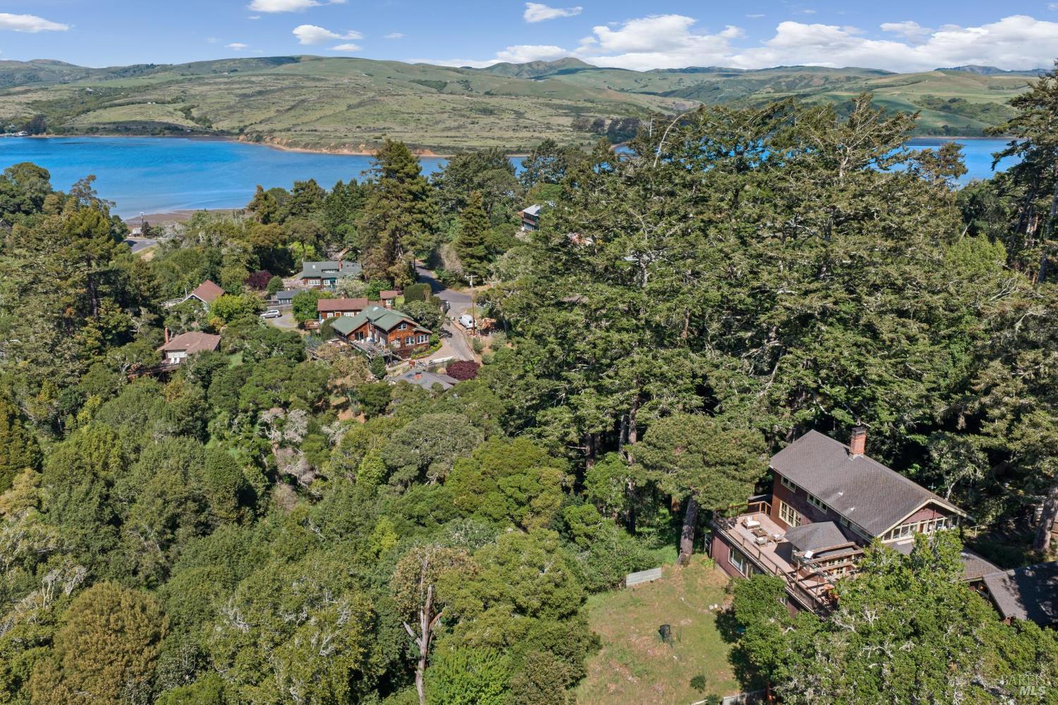 50 Dundee Way Inverness, CA 94937 - Photo 77 of 78