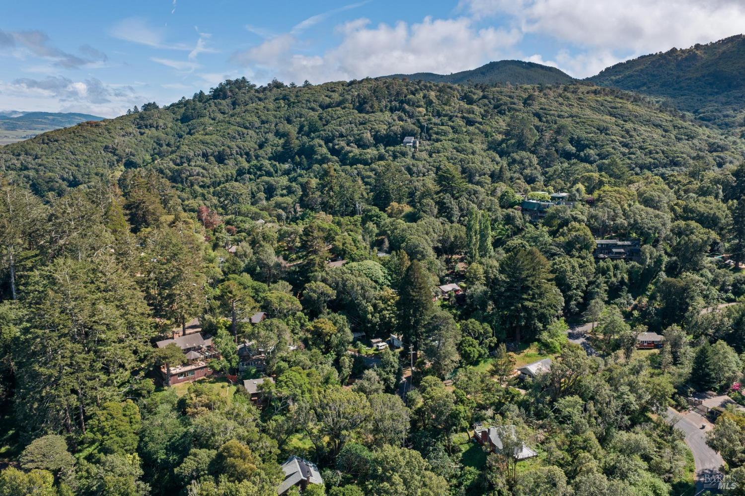 50 Dundee Way Inverness, CA 94937 - Photo 78 of 78