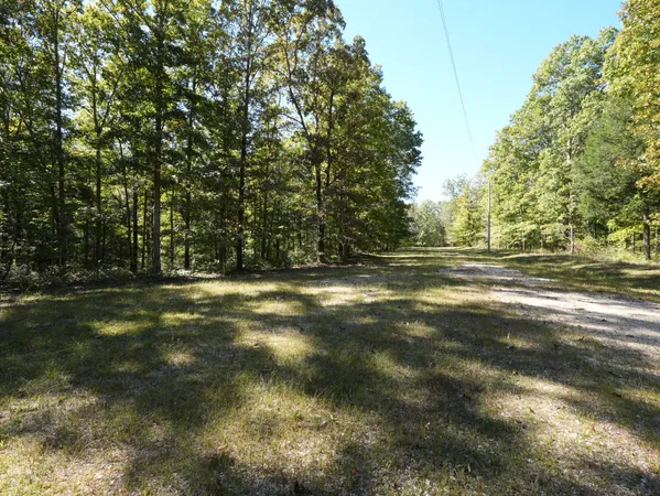 a view of yard with green space